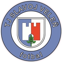 Tělovýchovná jednota Slavoj Veleň